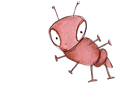 Ant